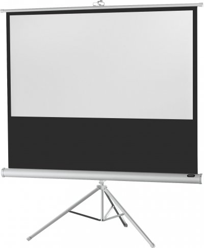 CELEXON  Economy White