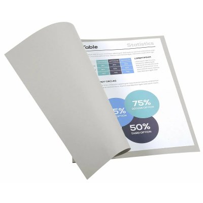 EXACOMPTA Chemises Dossiers 250g 24x32 Gris - Paquet De 100