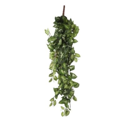 Chute de Fittonia artificiel 80 x 30 x h.15 cm