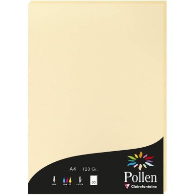 CLAIREFONTAINE  Etui De 50 Feuilles 210x297 Chamois 120g