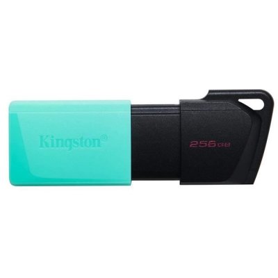 KINGSTON Cl&eacute; USB Technology DataTraveler Exodia M DTXM/256GB USB 3.2 Gen 1 - avec capuchon