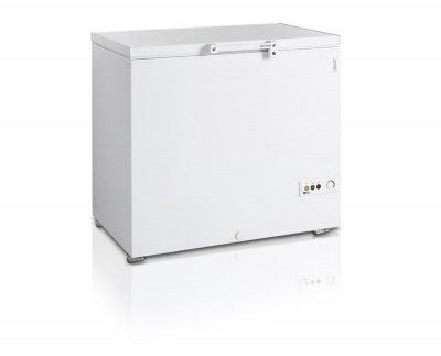  Cong&eacute;lateur Coffre FR305 TEFCOLD 