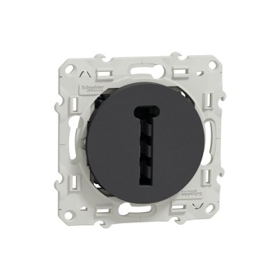 SCHNEIDER ELECTRIC Conjoncteur en T ODACE 8 contacts -  - S540496