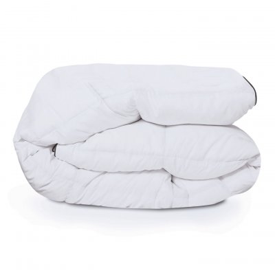 IDMARKET Couette 220x240 cm en plume d'oie anti acarien 500 gr