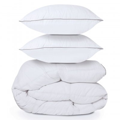 IDMARKET Couette 220x240 cm en plume d'oie anti acarien 500 gr + 2 oreillers