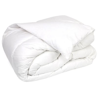 LINNEA Couette velay luxe garnissage duvet d'oie 300 g/m2 300x240 cm - Blanc