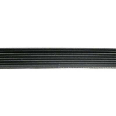 PROLINE Courroie Poly V 1970 H8 Pour Seche Linge  - 416004400