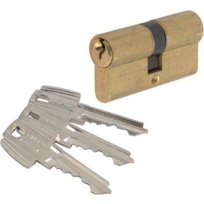 TESA Cylindre 2 entr&eacute;es s'entrouvrant laitonn&eacute; - 30 x 90 mm - TE5 - 