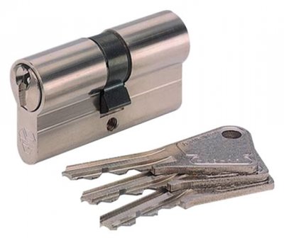 VACHETTE Cylindre 2 entr&eacute;es vari&eacute; laitonn&eacute; - 30 x 30 mm - V5 - 