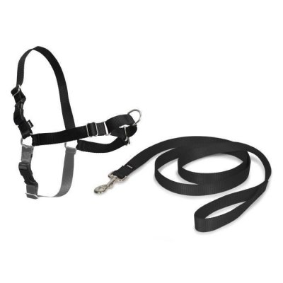 PETSAFE Cynnotek - harnais easywalk chien s noir CY3334