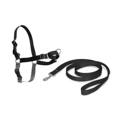 PETSAFE Cynnotek - harnais easywalk chien xl noir CY3337