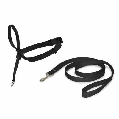 PETSAFE Cynnotek - licol easywalk chien m noir CY3599