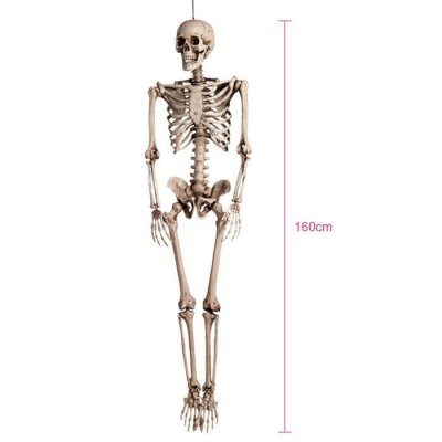 GENERIQUE D&eacute;coration &agrave; suspendre squelette taille humaine 160 cm
