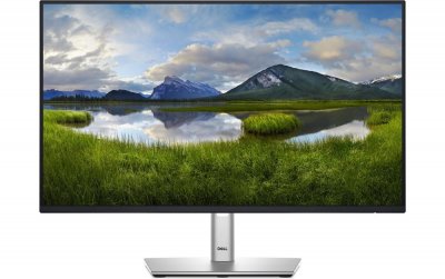 DELL  24 monitor -P2425HE 