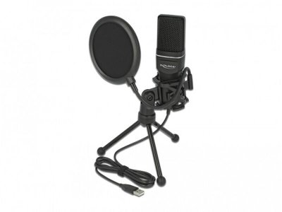 DELOCK  : Microphone professionnel USB &agrave; condensateur 66331