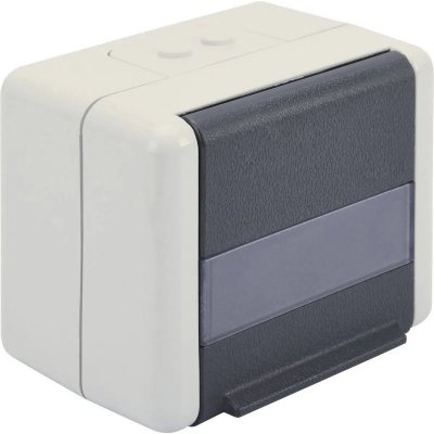 DIGITUS  Professional - Prise pour montage en surface - blanc alpin, anthracite - 2 ports