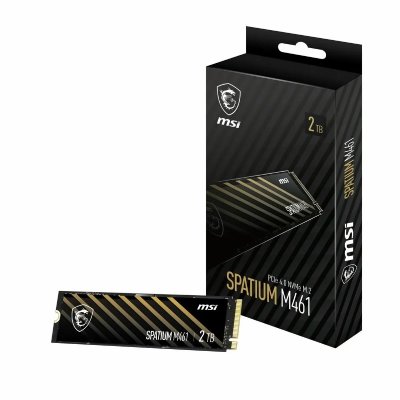 MSI Disque dur  Spatium M461 2 TB SSD