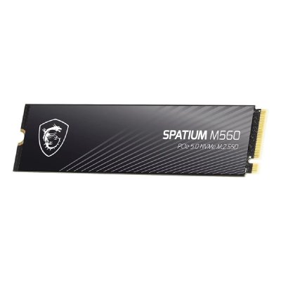 MSI Disque SSD >   Disque SSD  1To M.2 NVMe Gen5 - SPATIUM M560 