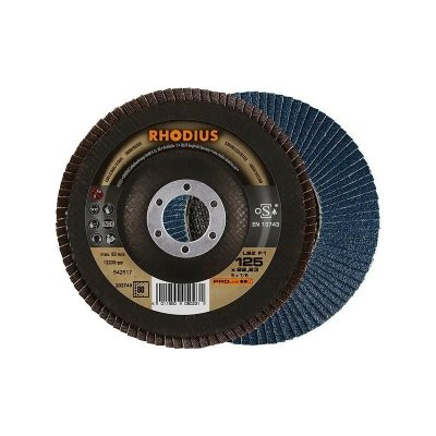 RHODIUS Disques &agrave; lamelles 125mm pour &eacute;bardage  lsz-f1 125 durchm. 80