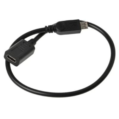 DLH ENERGY DLH - Adaptateur de type C USB - 24 pin USB-C pour Micro-USB de type B - 31 cm