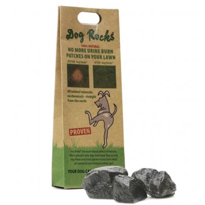DOG ROCKS  Roches contre tache d'urine de chien