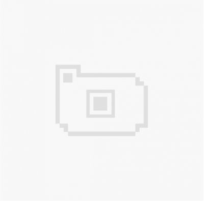 NINTENDO GAMES Dragon's Dogma Dark Arisen Switch