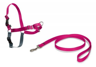 PETSAFE Easy Walk Harnais L - Framboise - Pour Chien