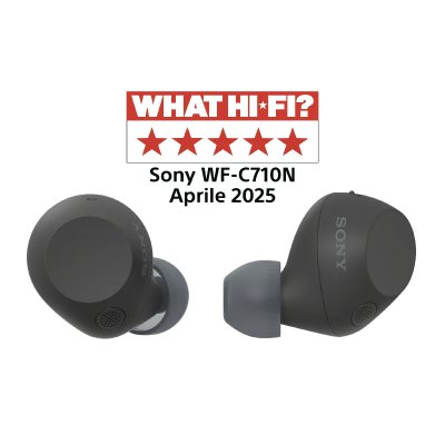 SONY Ecouteurs sans fil  WF-C710N Bluetooth Multipoint avec reduction de bruit active Noir 