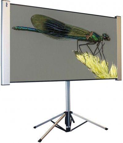 ORAY Ecran de projection  Dragonfly 101 x 180 Multicolore 