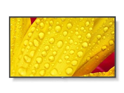 NEC &Eacute;cran  60005053 led 4k ultra hd 50