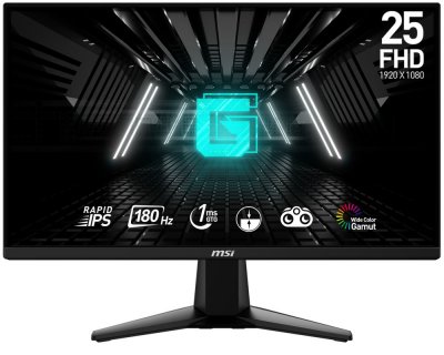 MSI Ecran PC Gaming  G255F 24,50"" Full HD Noir