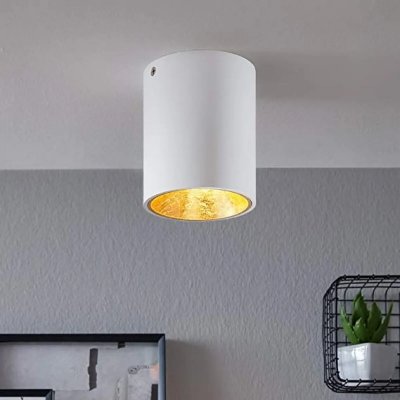 EGLO  - Plafonnier dor&eacute; LED Polasso D10 cm - Blanc - Or