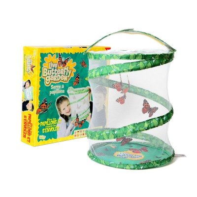 Elevage de papillons Butterfly Garden