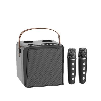 YONIS Enceinte Bluetooth Design Unique Son HD R&eacute;duction Bruit Dual Micro KTV Portable