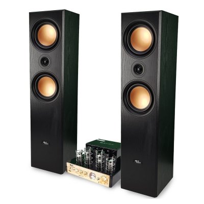 Enceinte Bluetooth Evidence Acoustics EA800-PG Noir