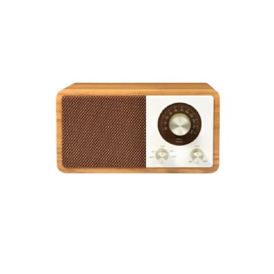 HALTERREGO Enceinte Bluetooth  avec charge induction Qi 15W. BT V5.0, RMS 10W, FM