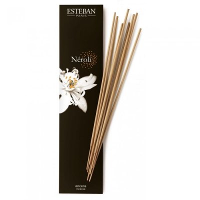 ESTEBAN Encens indiens N&Eacute;ROLI L30 cm Marron  Paris Parfums