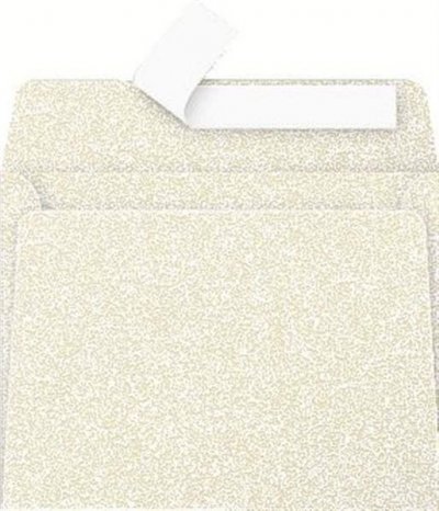 POLLEN Enveloppe visite - irise@