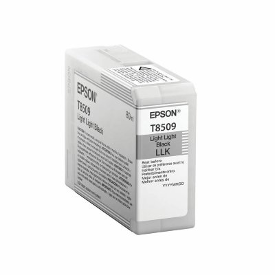 EPSON  cartouche t850900 - noir - 80ml