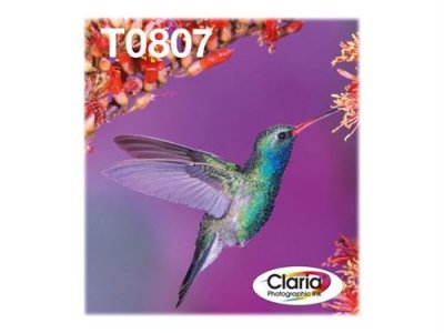 EPSON  EasyMail Multipack Colibri T0807