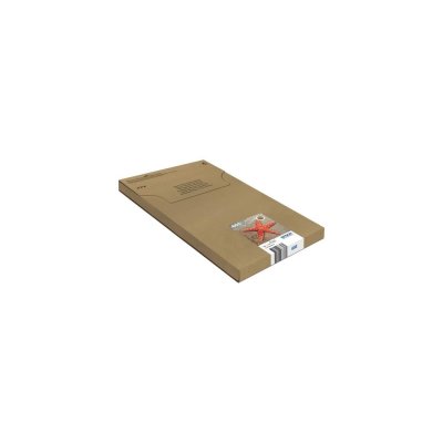 EPSON  multipack 4-colours 603 easy mail noir