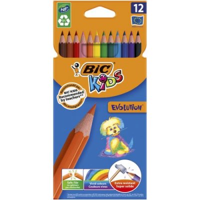 BIC Etui de 12 crayons  Kids Evolution