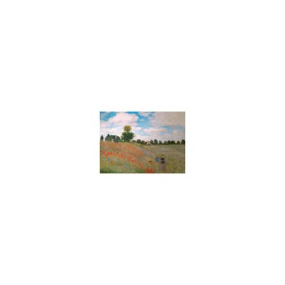 EUROGRAPHICS  Claude Monet The Poppy Field (Puzzle 1000p, Multicolore)