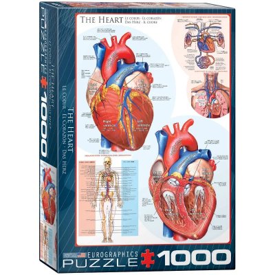 EUROGRAPHICS  puzzle 1000 pc - the heart
