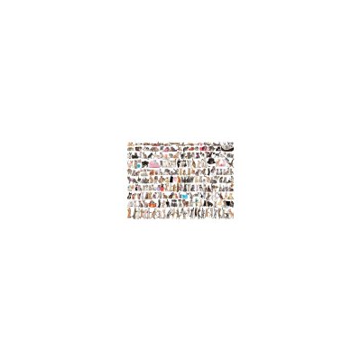 EUROGRAPHICS  World of Cats Jigsaw Puzzle (1000-Piece) 