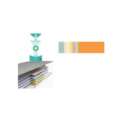EXACOMPTA  Nature Future - Intercalaire - 100 Positions - 105 X 240 Mm - Paysage - Gris
