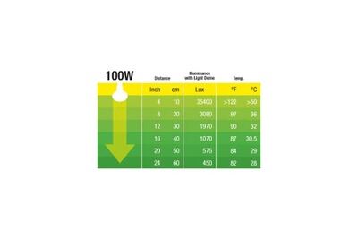 EXO TERRA Exoterra Ampoule Swamp Basking Spot pour Reptiles et Amphibiens 100 W