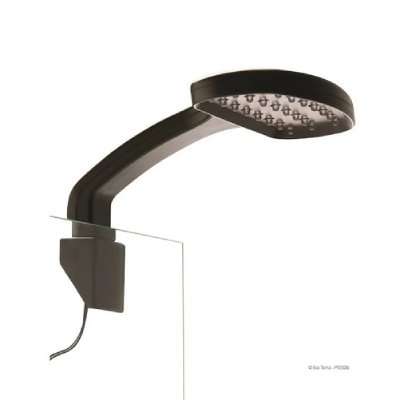 EXO TERRA Exoterra &Eacute;clairage pour Reptiles Galerie Night Day 24 LED