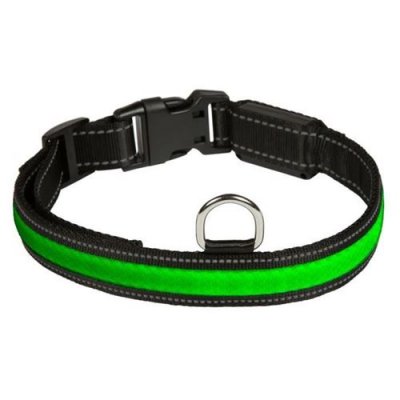 EYENIMAL  Rgb Collier Lumineux - Taille L - Pour Chien