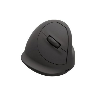 FELLOWES  100143580 souris Universel Droitier Bluetooth + USB Type-C Optique 2400 DPI